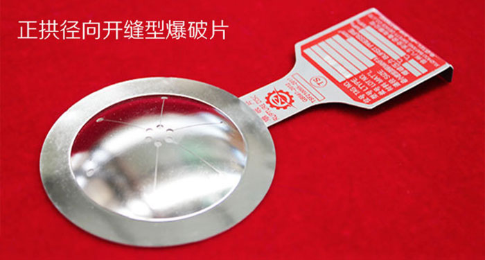 Rupture Disc